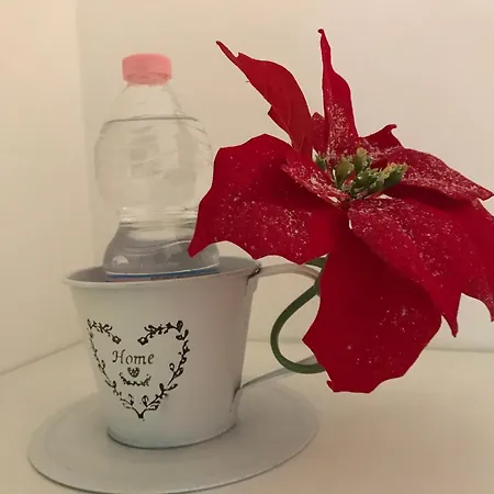 Appartement Casa Sandro 8 Napels