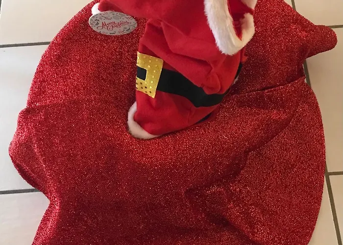 Apartman Casa Sandro 8