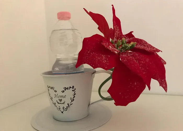 Apartman Casa Sandro 8 Nápoly